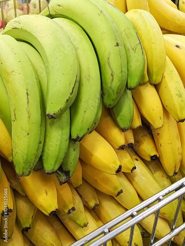 A bunch of green bananas and a bunch of yellow bananas are on the counter of a market, supermarket. The benefits of fresh fruits are a concept. Retail sale of fruits. Background. 