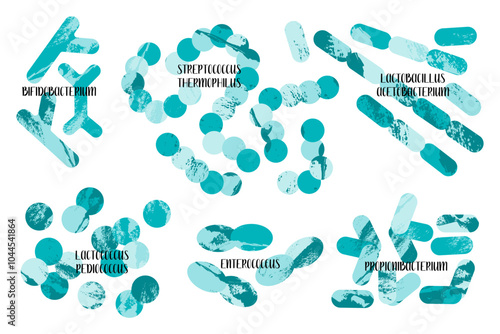 Probiotics. Lactic acid bacteria. Good microorganisms for gut and intestinal flora health. Microflora. Microbiome. Bifidobacterium, lactobacillus,  lactococcus, thermophilus streptococcus. Vector set