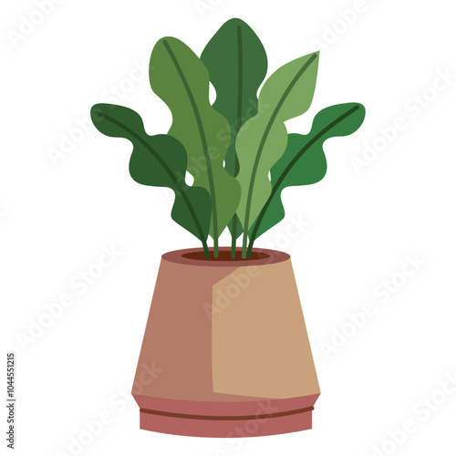 indoor flowerpot plant decoration