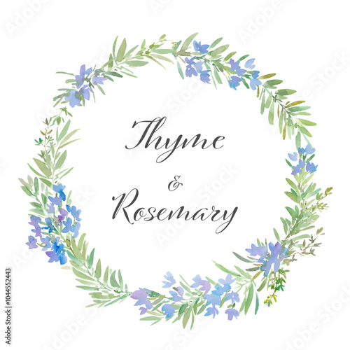 A vector illustration of a wreath made of rosemary and thyme, painted in watercolor. A herb wreath.