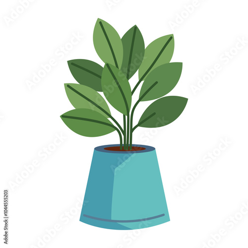 house plant decoration