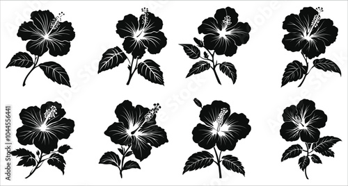Black silhouettes of tropical hibiscus flowers isolated on a white background, Hibiscus flower silhouettes icon set	
