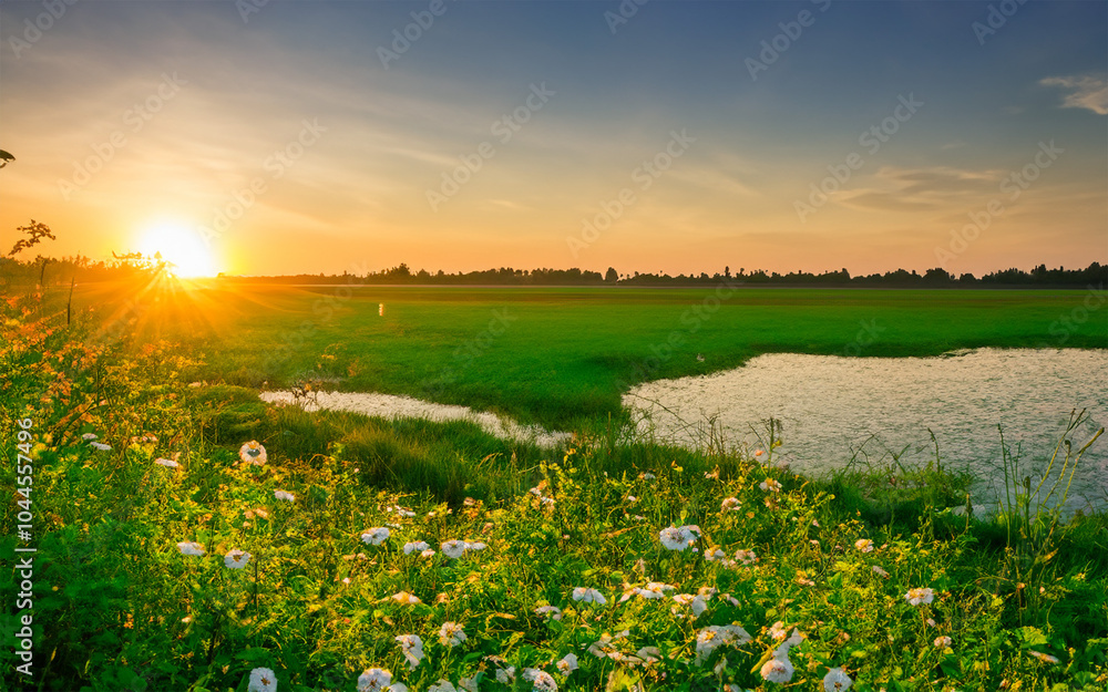 sunset over the river. sunset over river/lake. beautiful scenery and greenery. sunset over the river. sunset over river/lake. beautiful scenery and greenery.