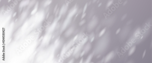 Sun light and shadow on wall overlay background. Grey tree leaf nature shade texture with blur bg. Abstract minimal sunshine photography material with smooth filter layout. Presentation design