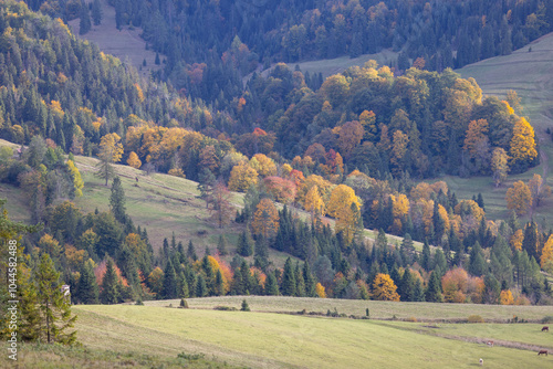 Obraz na płótnie Picturesque view of the autumn landscape in the Pieniny Mountains, colorful leaves on the trees, Szczawnica, Poland w salonie