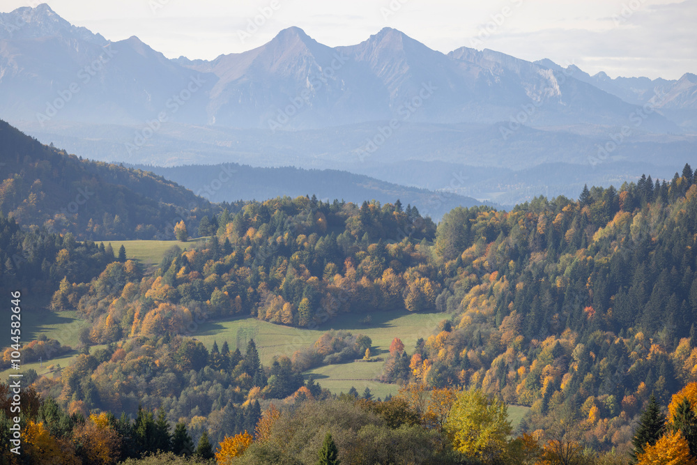 View of the autumn landscape in the Pieniny Mountains, colorful leaves on the trees, Szczawnica, Poland