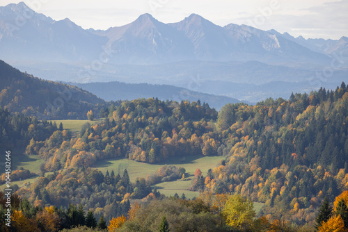 Obraz na płótnie View of the autumn landscape in the Pieniny Mountains, colorful leaves on the trees, Szczawnica, Poland w salonie