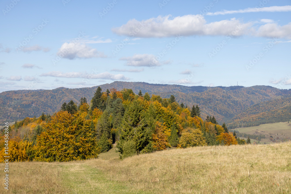 Picturesque view of the autumn landscape in the Pieniny Mountains, colorful leaves on the trees, Szczawnica, Poland