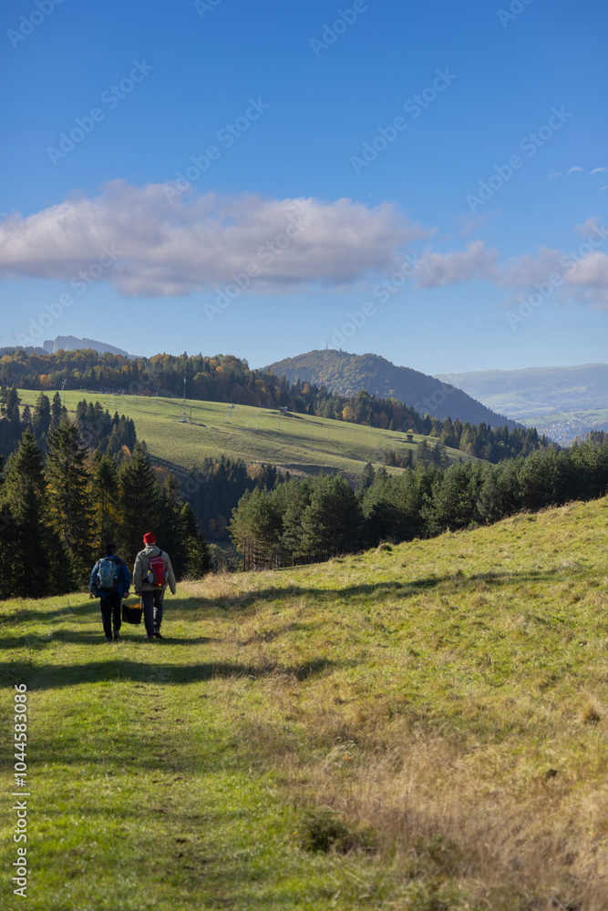 Two tourists with a basket of mushrooms on sunny autumn day in Pieniny, Szczawnica, Poland