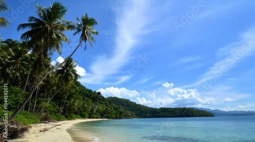 Serene Tropical Beach with Turquoise Water and Palm Trees