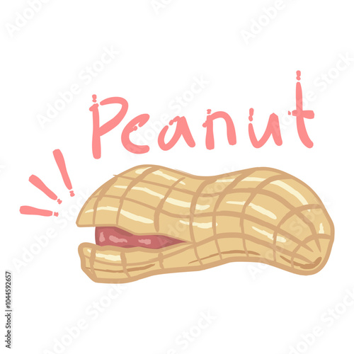 These peanuts are shown with the shells partially open, revealing the peanut kernels inside.