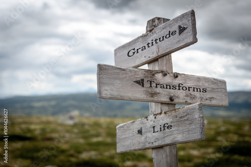 Картината върху платно gratitude transforms life text quote written on wooden signpost at the crossroads outdoors in nature