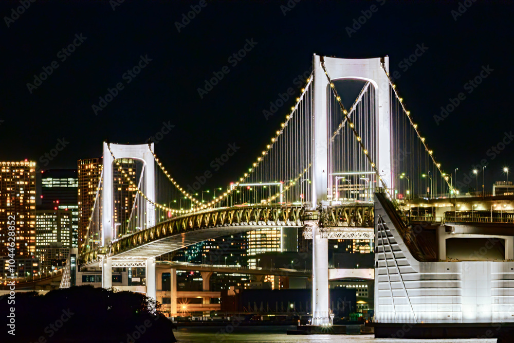 Fototapeta premium ライトアップされたレインボーブリッジ