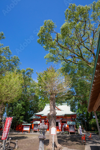 大汝牟遅神社
