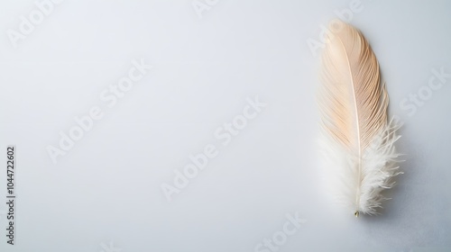 99. A top-down view of a single feather on a clean background, with no other distractions