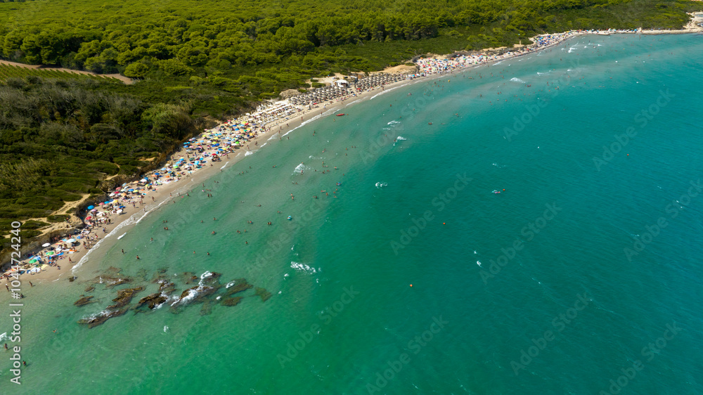 Fototapeta premium Aerial view of Baia dei Turchi beach in the province of Lecce, Salento, Puglia, Italy. It is a bay within a nature reserve with a pine forest. There are many tourists on vacation with umbrellas.