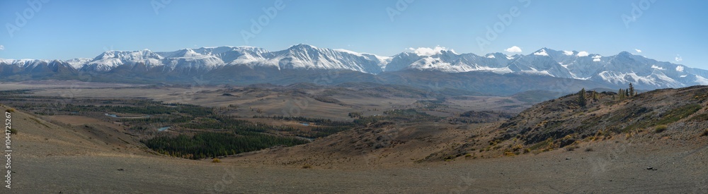 Panoramic high resolution image of Chuya steppe: hilly landscape, endless field with yellow grass, a golden autumn in the Altai. In the distance is a mountain ridge with snow covered mountain peaks. Panoramic high resolution image of Chuya steppe: hilly landscape, endless field with yellow grass, a golden autumn in the Altai. In the distance is a mountain ridge with snow covered mountain peaks.