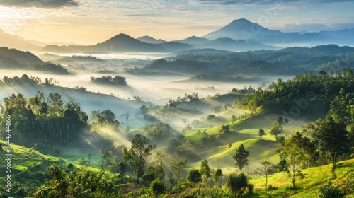 Misty Morning Mountains with Soft Light in Landscape