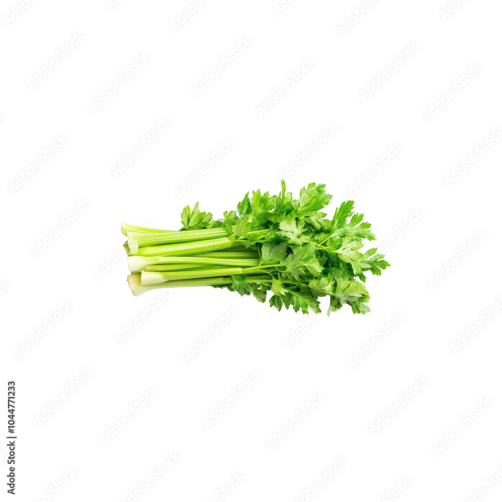A few fresh green, vertically cut pieces of celery on a white background A few fresh green, vertically cut pieces of celery on a white background