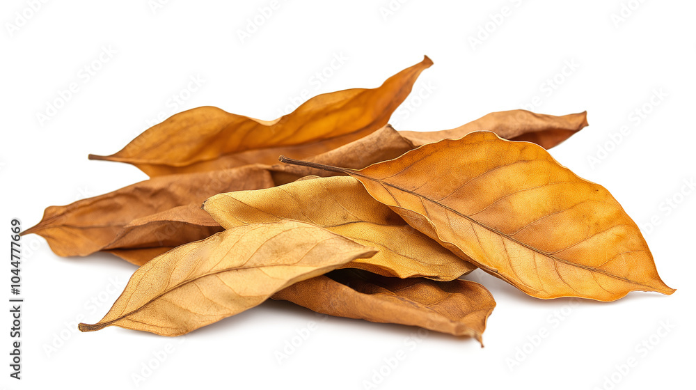 PNG, Cluster of golden-brown tobacco leaves in daylight isolated on a transparent background PNG, Cluster of golden-brown tobacco leaves in daylight isolated on a transparent background