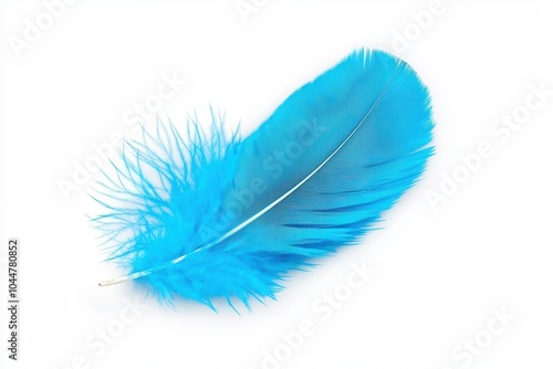 Delicate Blue Feather Isolated on White Background