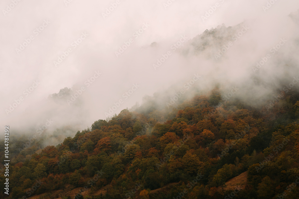 A magical mist envelops a vibrant autumn forest, highlighting its rich hues in a serene, beautiful landscape A magical mist envelops a vibrant autumn forest, highlighting its rich hues in a serene, beautiful landscape