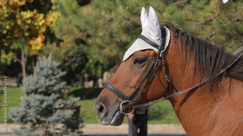 a horse with a white rabbit on its head and a white feather on its head.