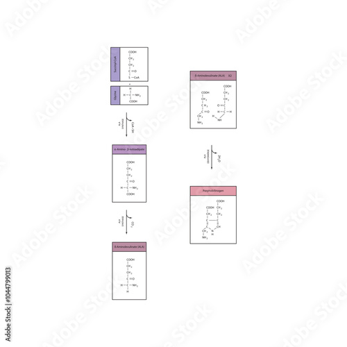 Diagram  showing synthesis of porphobilinogen through ALA synthase, biochemical reaction schematic illustration. skeletal structure diagram. compound molecule scientific illustration.