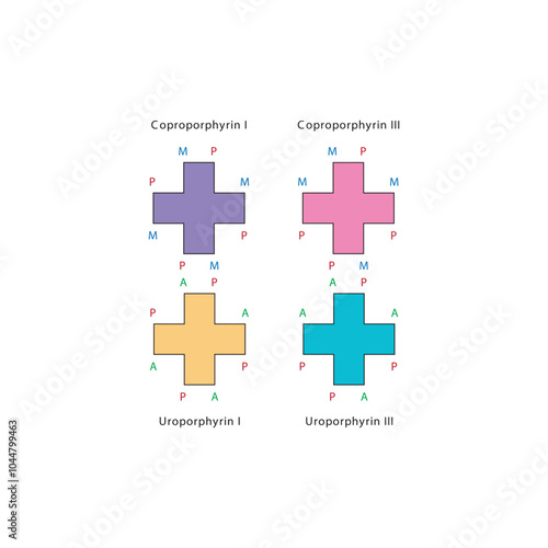 Diagram of Uroporphyrin and  Coproporphyrin molecules chemical molecular structure, featuring rings and substitutions. skeletal structure diagram. compound molecule scientific illustration.