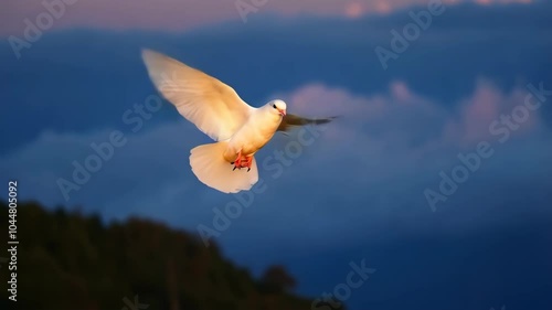 Flying white dove with blue sky and cloud in the background