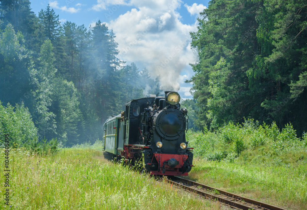 Naklejka premium OId-fashioned passenger train.