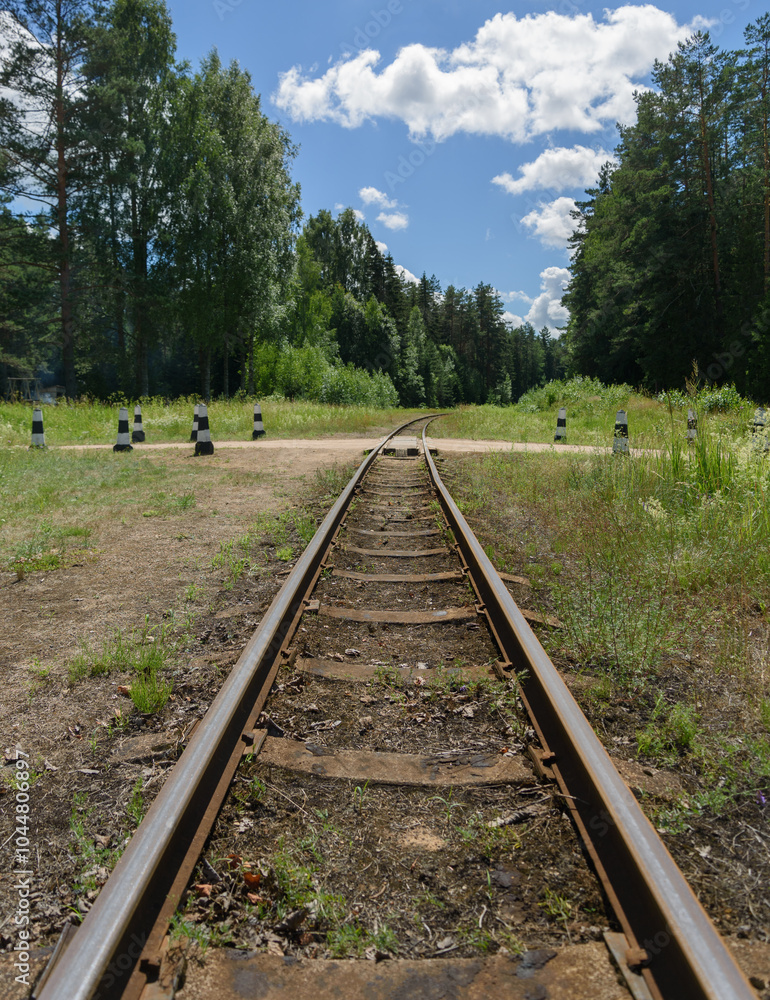 Fototapeta premium A narrow gauge railway.
