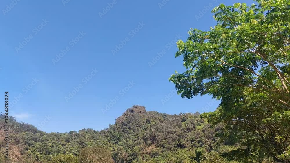 A scenic view of a forested mountain under a clear blue sky. A vibrant green tree is seen on the right, adding to the natural beauty of this peaceful outdoor environment.
A scenic view of a forested mountain under a clear blue sky. A vibrant green tree is seen on the right, adding to the natural beauty of this peaceful outdoor environment.