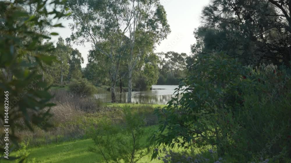 Scenic View of Greenery, Lake, and Trees Scenic View of Greenery, Lake, and Trees
