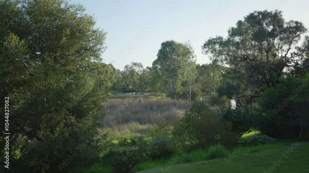 Room Window with Scenic View of Greenery, Lake, and Trees Room Window with Scenic View of Greenery, Lake, and Trees