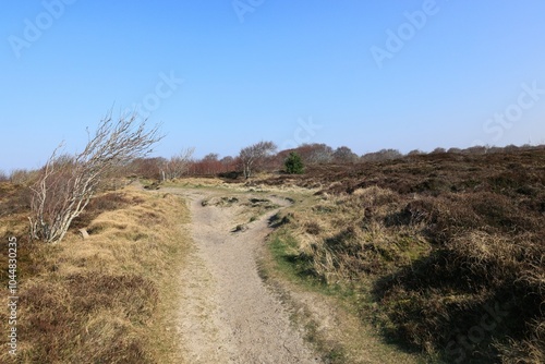 Blick auf die Küstenlandschaft bei Cuxhaven an der Nordsee 