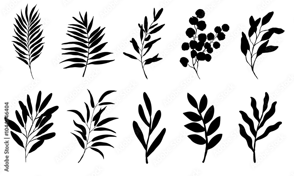 Vector design elements collection of fern green forest, green art leaves natural herb in silhouette beauty decoration elegant illustration for design. Vector design elements collection of fern green forest, green art leaves natural herb in silhouette beauty decoration elegant illustration for design.
