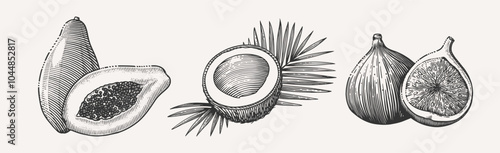 Hand-drawn vintage engraving of three fruits: papaya with seeds, a halved coconut with palm leaves, and a fig with a sliced half. Perfect for culinary, botanical and vintage designs.