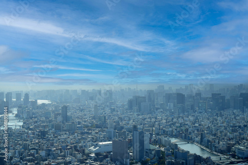 東京の街並みと東京タワー、東京の町並みとビジネス街、東京の町並みの上空撮影 