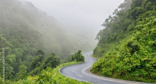 Image of a road in nature