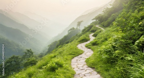 Image of a road in nature