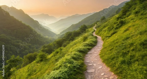 Image of a road in nature