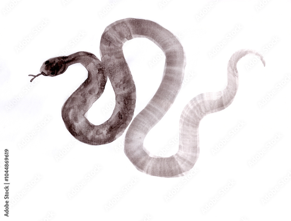 Fototapeta premium snake, year of the snake, chinese japanese ink painting