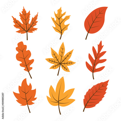 Organic Autumn Leaf Vector Illustration