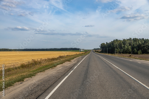 A road with a few trees on the side and a clear blue sky