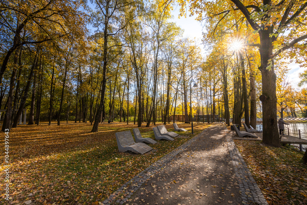Naklejka premium A park with a path and benches