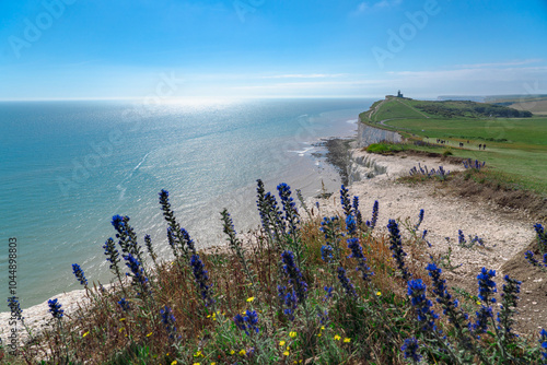 Obraz na płótnie Seven Sisters Cliffs, Eastbourne, UK w salonie