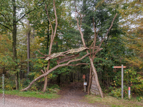 Belevingspad ,Nature reserve de Zwarte Dennen, Overijssel province, The Netherlands photo