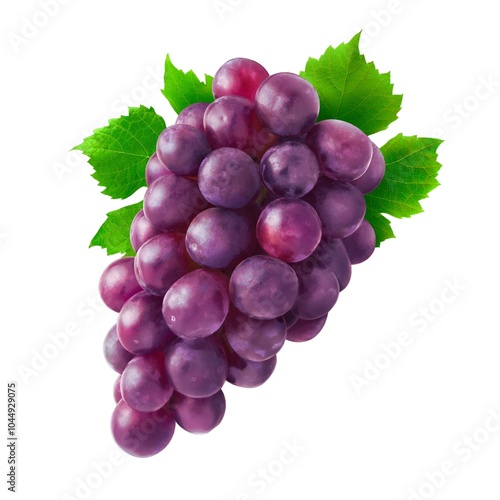 A bunch of dark purple grapes with a green leaf attached