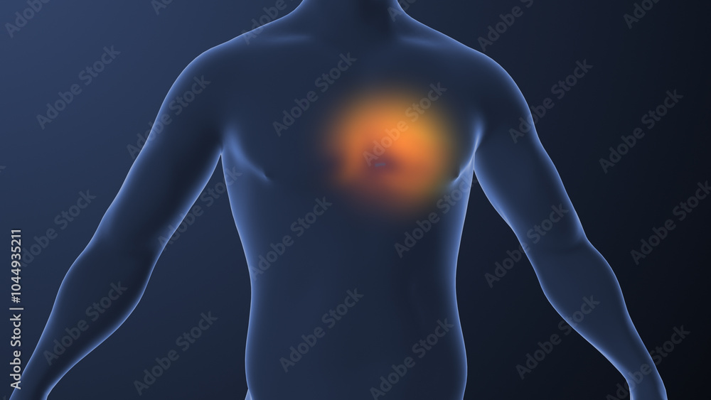The anatomy of heart discomfort in human The anatomy of heart discomfort in human